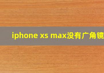 iphone xs max没有广角镜头